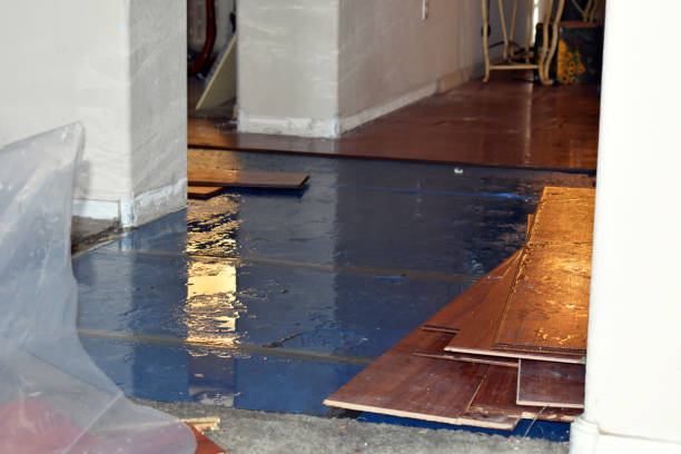 Professional Burst Pipe Cleanup technician working in Long Beach, MD